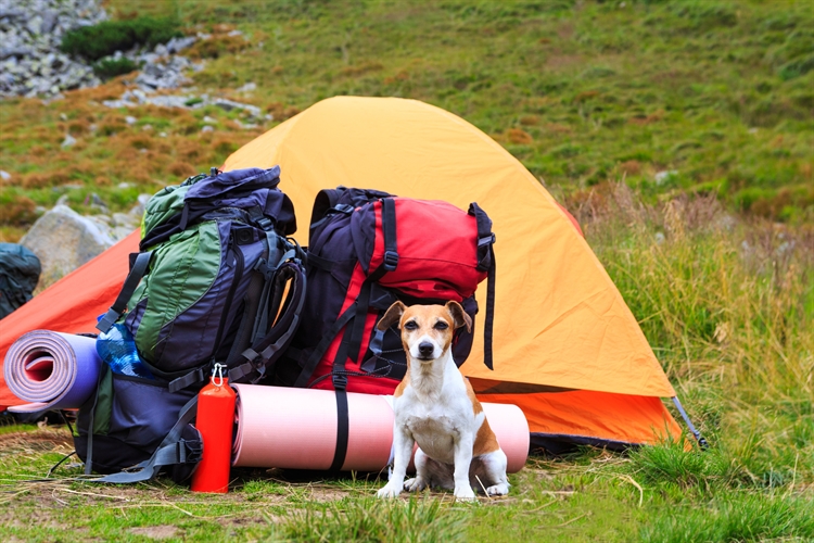 Storing camping gear Storage Insurance News Advice