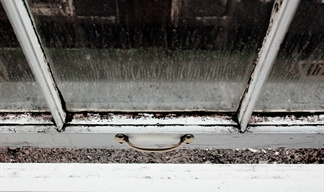 It is a danger to your family and bad for your possessions What can you do to stop black mould It is a danger to your family and bad for your possessions What can you do to stop black mould