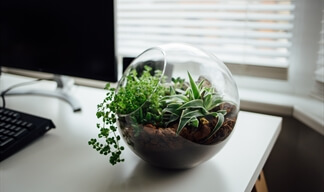 Moving house with a terrarium Moving house with a terrarium