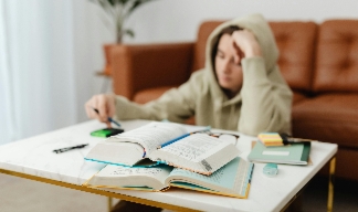 youth studying in a living room. youth studying in a living room.